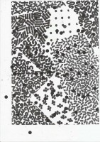http://www.daniel-bischoff.net/files/gimgs/th-89_Riso 099 79 x 112mm.jpg